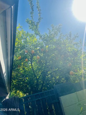 5230 W JUPITER Way N, Chandler, AZ 85226