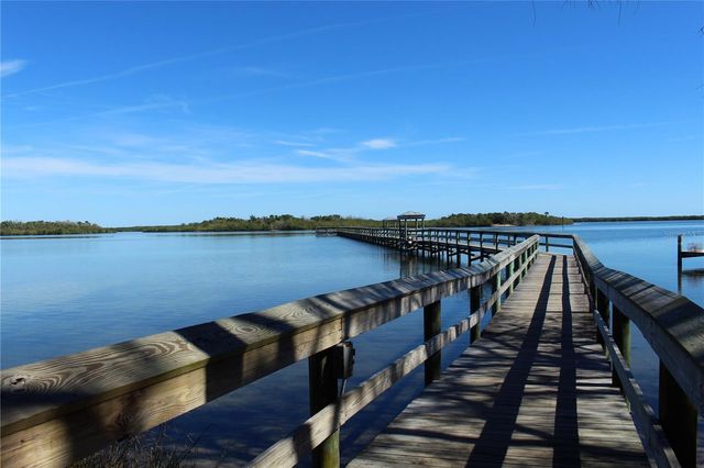 436 ELDORA DRIVE, Oak Hill, FL 32759