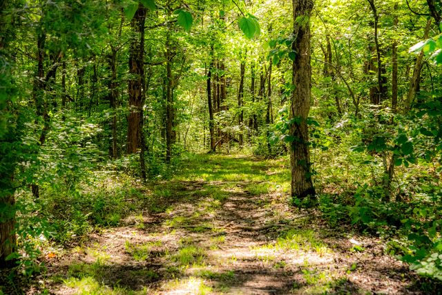 6403 Highway S 341, Chickamauga, GA 30707