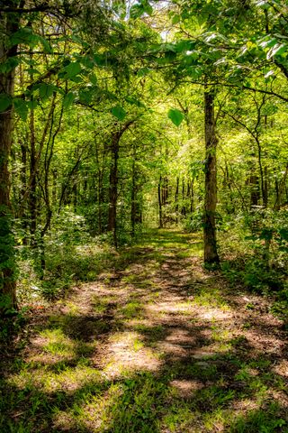 6403 Highway S 341, Chickamauga, GA 30707