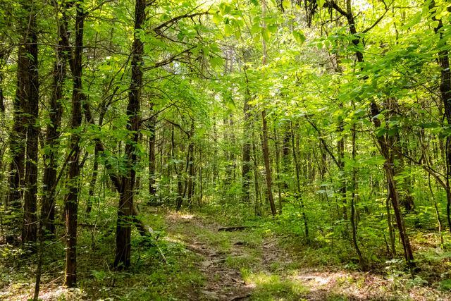 6403 Highway S 341, Chickamauga, GA 30707