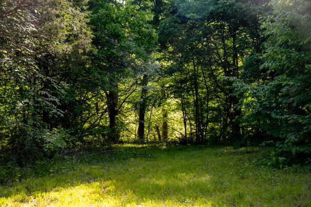 6403 Highway S 341, Chickamauga, GA 30707