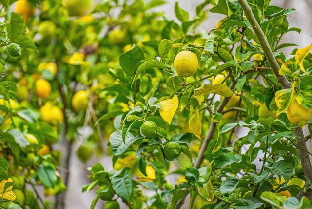 5912 5912 Mayhews Landing Rd, Newark, CA 94560