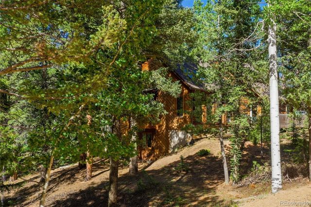 886 Cottonwood Lake Drive, Divide, CO 80814