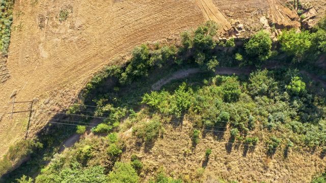 257 County Road 3850, Poolville, TX 76487