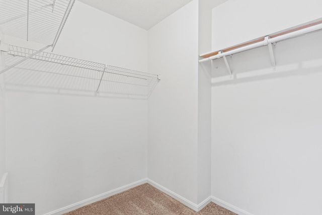 44895 CANVAS BACK DR, Callaway, MD 20620