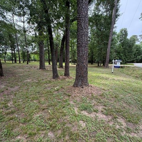 16611 Old Coach Road, Stagecoach, TX 77355