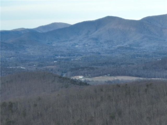279 Andes Ridge, Ellijay, GA 30536