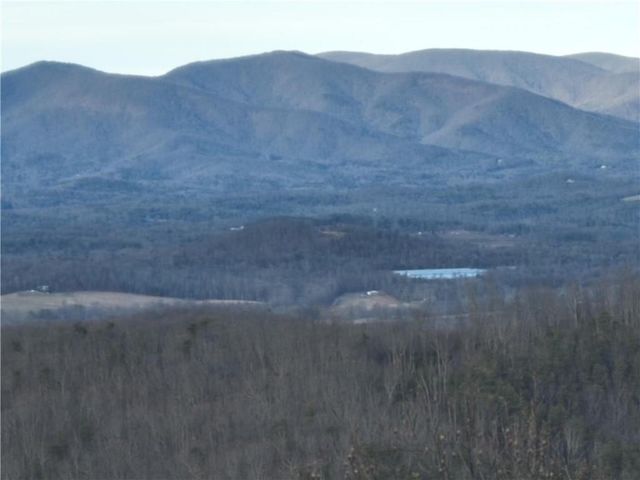 279 Andes Ridge, Ellijay, GA 30536