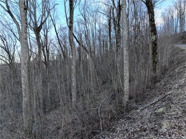 279 Andes Ridge, Ellijay, GA 30536