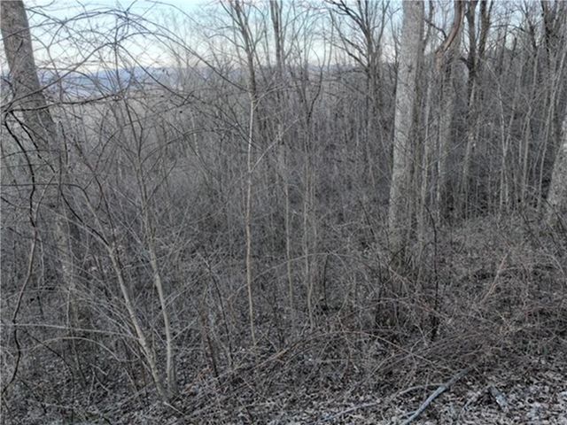 279 Andes Ridge, Ellijay, GA 30536