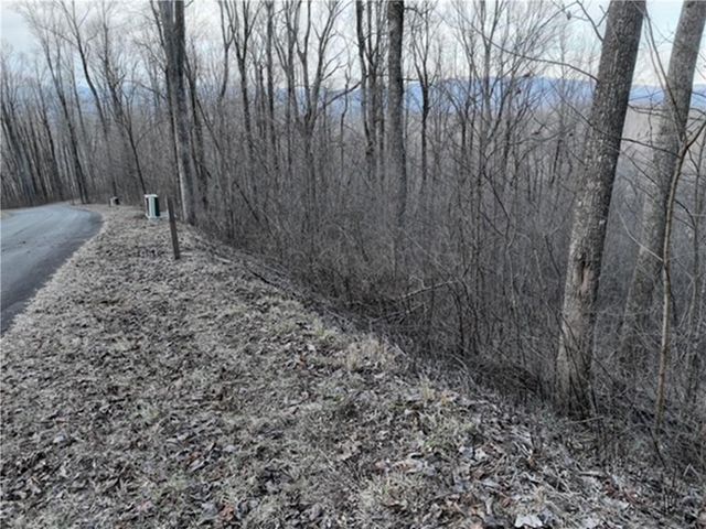 279 Andes Ridge, Ellijay, GA 30536