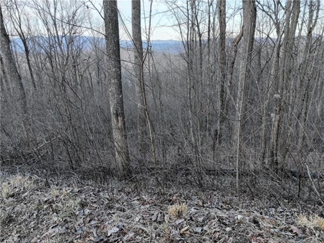 279 Andes Ridge, Ellijay, GA 30536