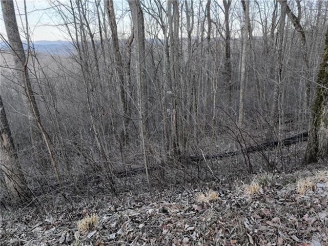 279 Andes Ridge, Ellijay, GA 30536