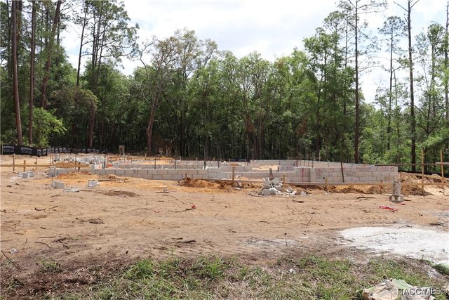 159 N Kinglet Avenue, Hernando, FL 34442