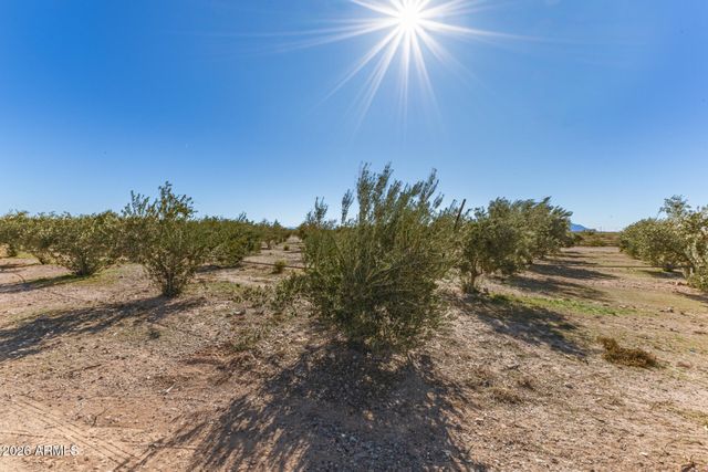 1081 W DANA Avenue, Florence, AZ 85132