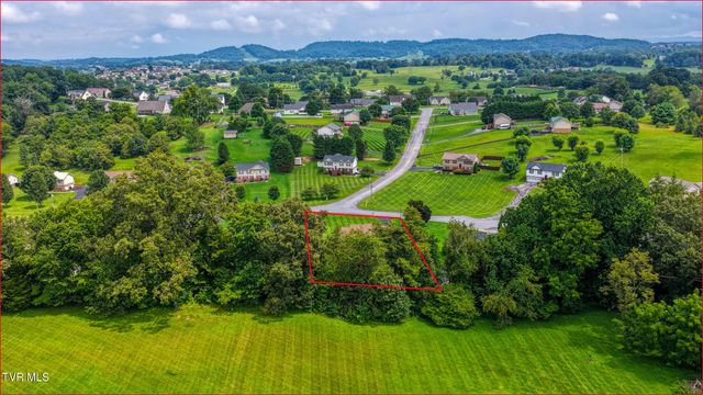 302 Maple Ridge Drive, Jonesborough, TN 37659