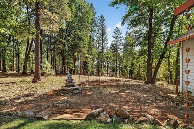 10202 Cohasset Road, Chico, CA 95973