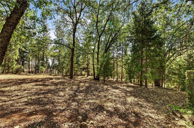 10202 Cohasset Road, Chico, CA 95973