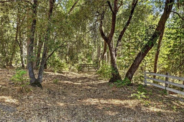 10202 Cohasset Road, Chico, CA 95973