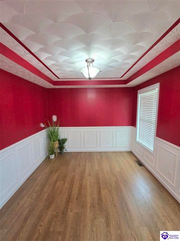 538 Clymene Road, Cecilia, KY 42724