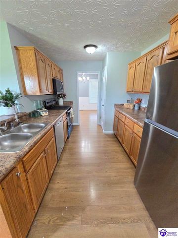 538 Clymene Road, Cecilia, KY 42724