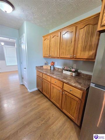 538 Clymene Road, Cecilia, KY 42724