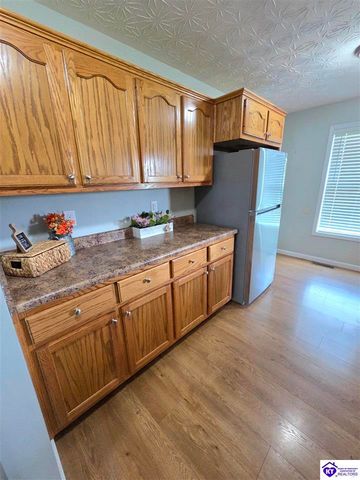 538 Clymene Road, Cecilia, KY 42724