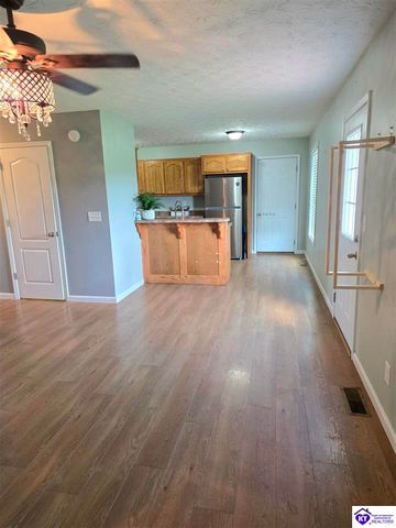 538 Clymene Road, Cecilia, KY 42724