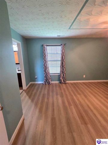 538 Clymene Road, Cecilia, KY 42724