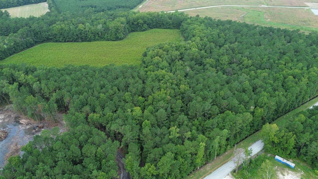 LOT 2 Fries Bay Rd., Loris, SC 29569 — photo 4