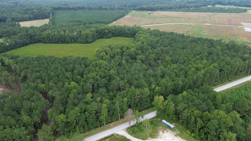 LOT 2 Fries Bay Rd., Loris, SC 29569 — photo 5