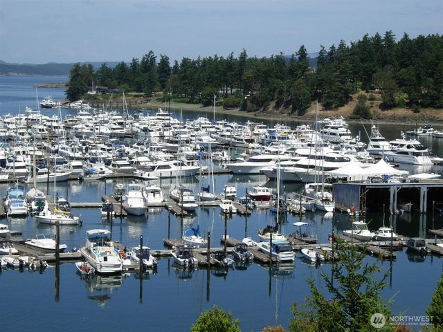 24 Mossyrock Road, Friday Harbor, WA 98250