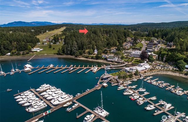 24 Mossyrock Road, Friday Harbor, WA 98250