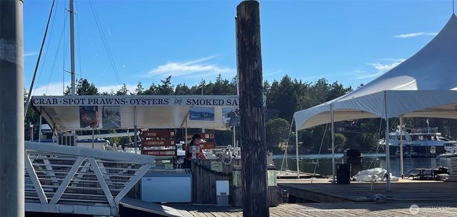 24 Mossyrock Road, Friday Harbor, WA 98250