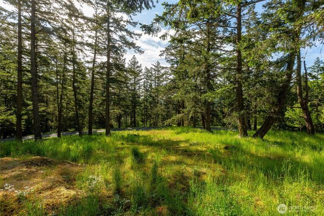 24 Mossyrock Road, Friday Harbor, WA 98250