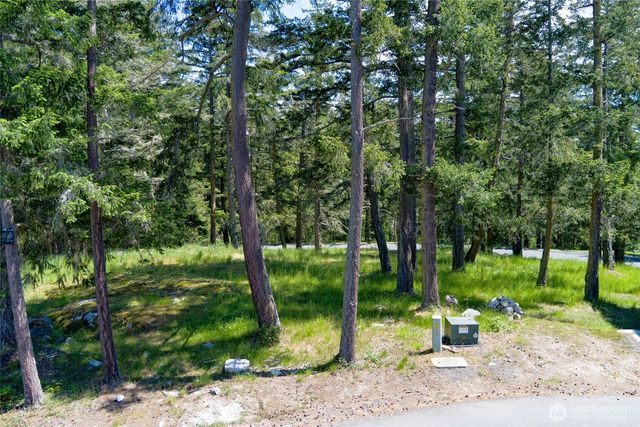 24 Mossyrock Road, Friday Harbor, WA 98250
