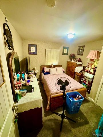 623 Camilla Street, Park Hills, MO 63601