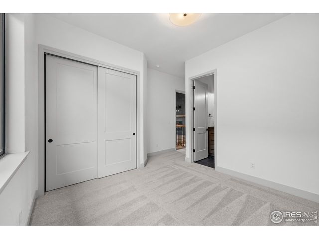 742 Canoe Birch Dr, Windsor, CO 80550