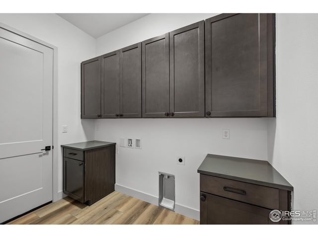 742 Canoe Birch Dr, Windsor, CO 80550