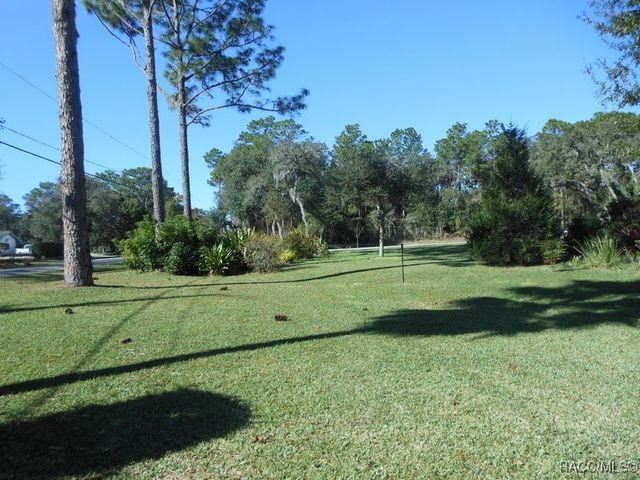 439 E Reehill Street, Lecanto, FL 34461
