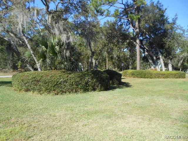 439 E Reehill Street, Lecanto, FL 34461