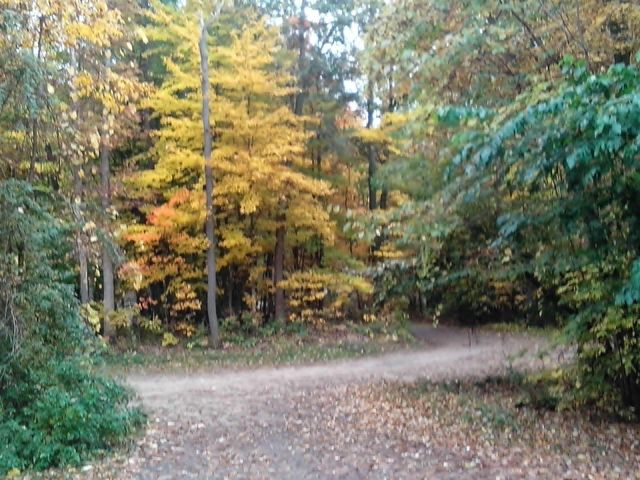 5621 Pine Island Drive NE, Comstock Park, MI 49321