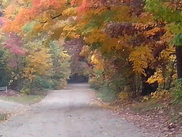 5621 Pine Island Drive NE, Comstock Park, MI 49321