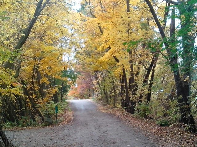 5621 Pine Island Drive NE, Comstock Park, MI 49321