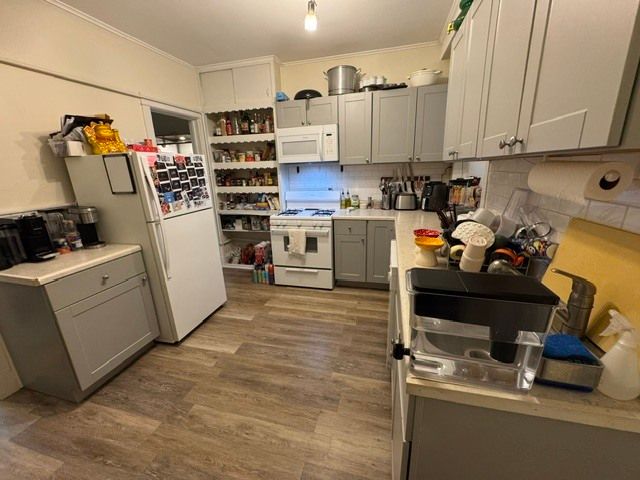 4157 N Wolcott Avenue 2N, Chicago, IL 60613