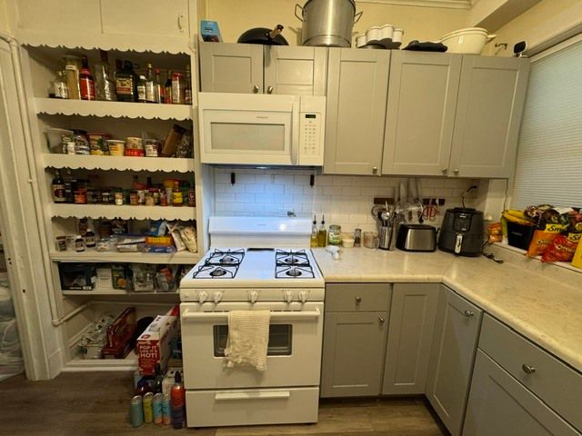 4157 N Wolcott Avenue 2N, Chicago, IL 60613