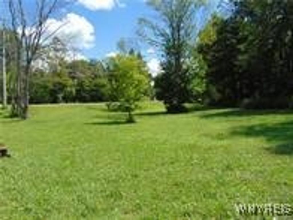 7423 Hayes Hollow Road, Colden, NY 14170