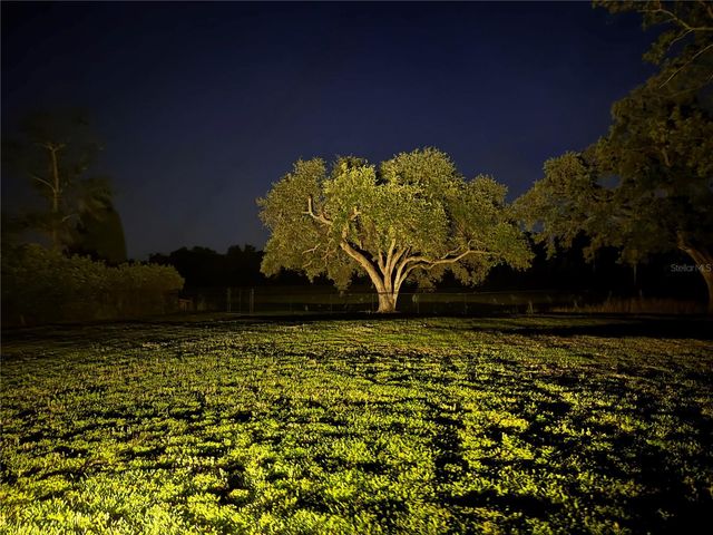 1310 ROLLING WOODS LANE, Lakeland, FL 33813