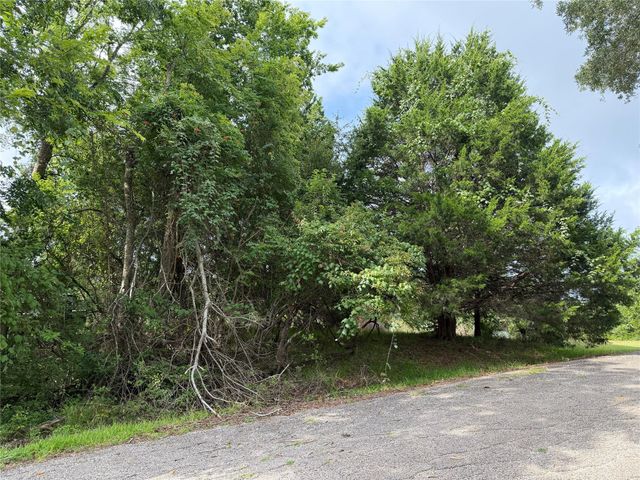 0 Timber Cove Lane, Coldspring, TX 77331